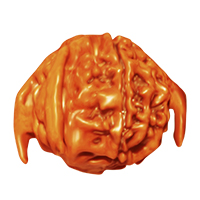 Special Ganesh Rudraksha